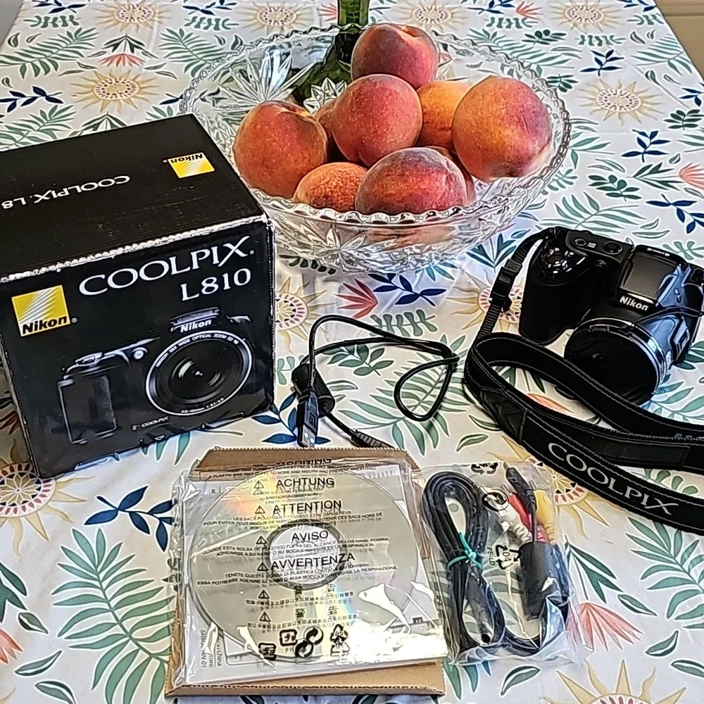Nikon Coolpix L810 Compact Camera